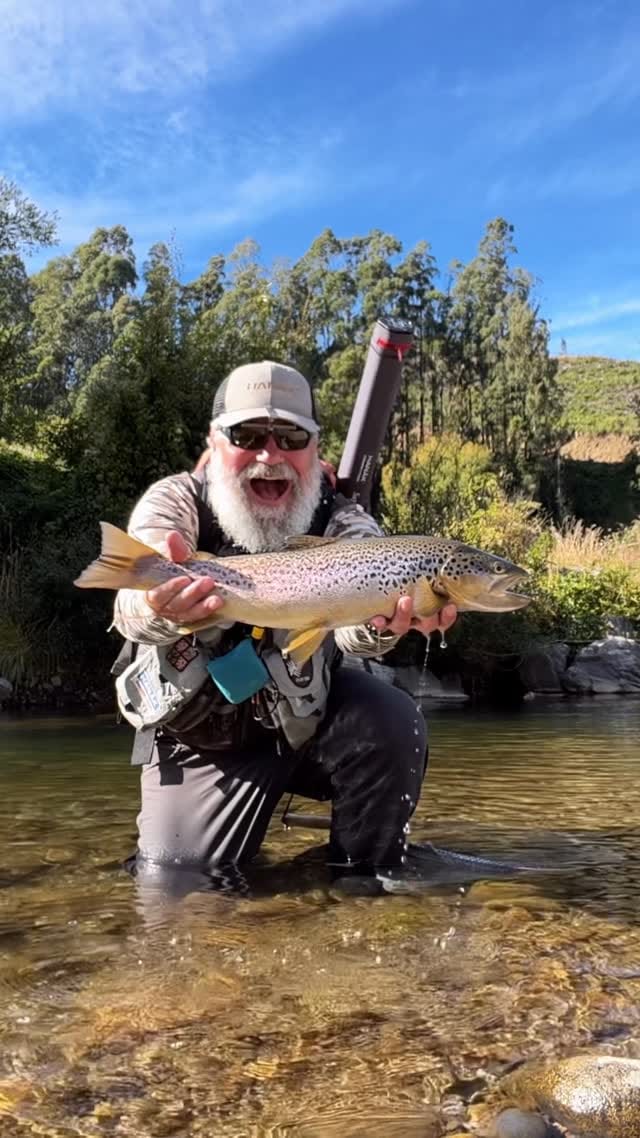 Post 8 by Igor Slavík on Instagram (video)