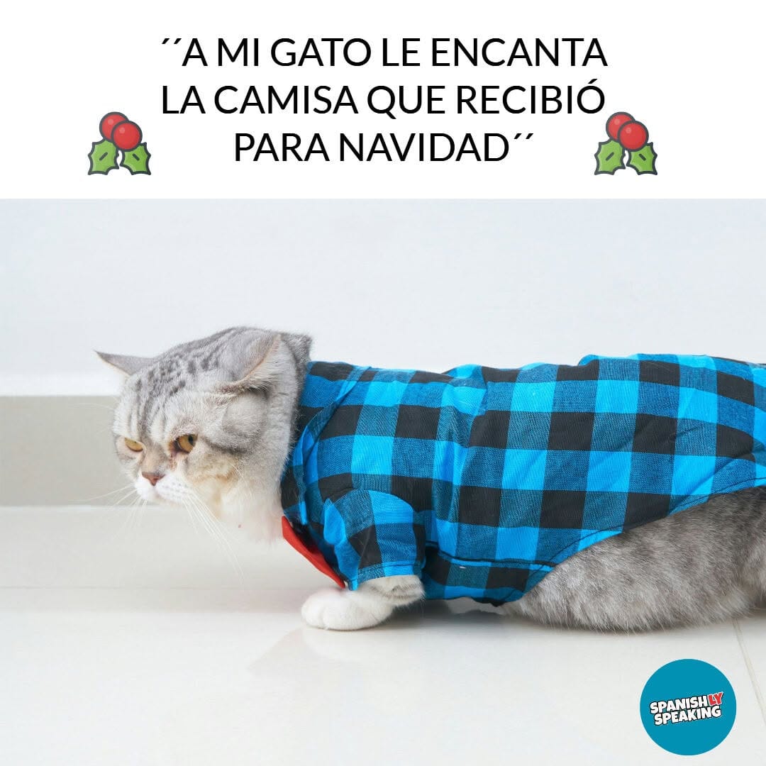 Post 1 by Spanishly Speaking on Instagram (image)