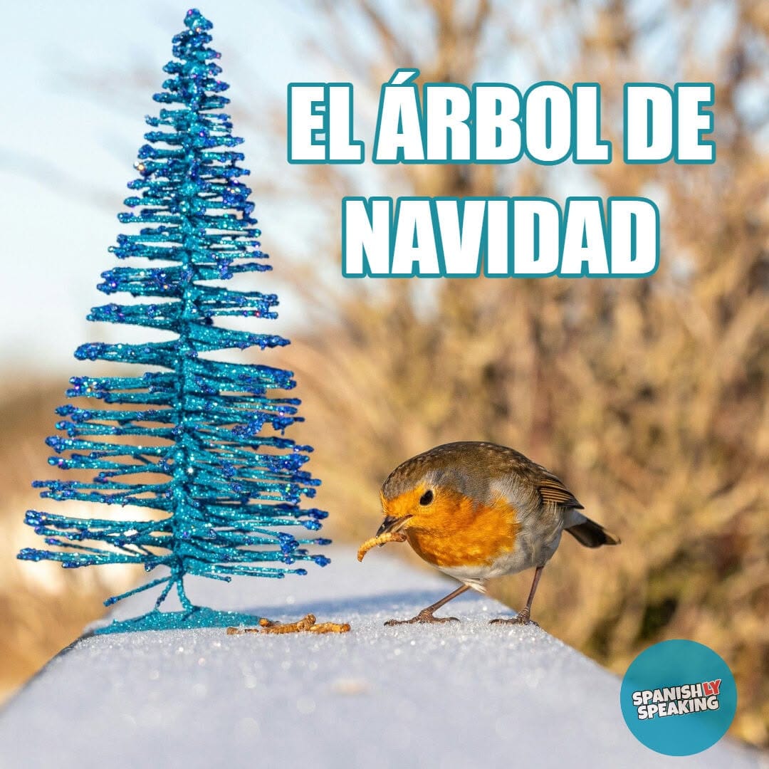 Post 5 by Spanishly Speaking on Instagram (image)