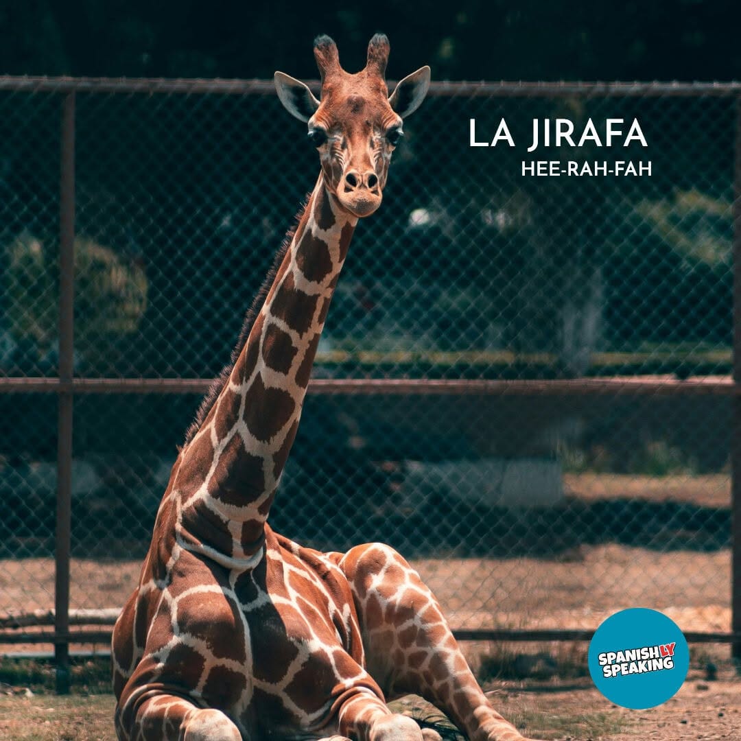 Post 10 by Spanishly Speaking on Instagram (image)