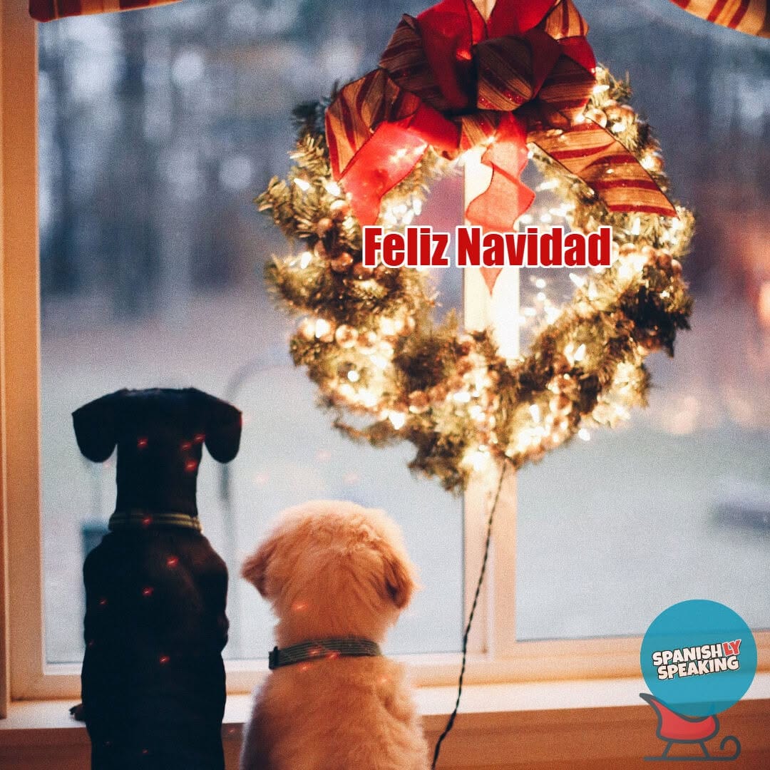 Post 8 by Spanishly Speaking on Instagram (image)