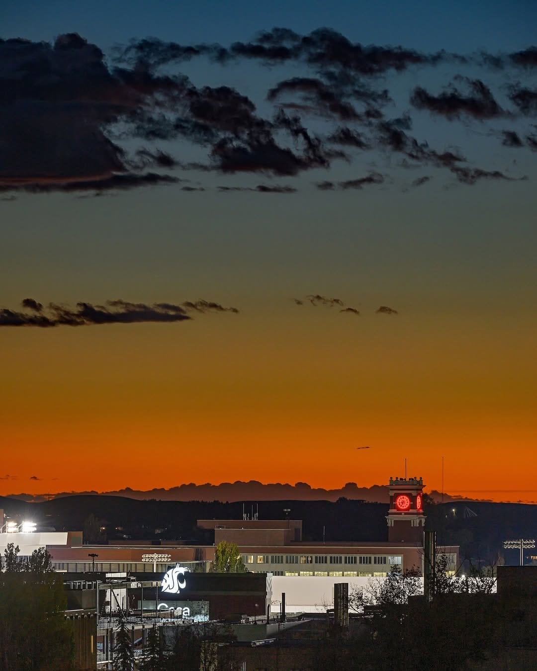 Post 10 by WSU Pullman on Instagram (image)