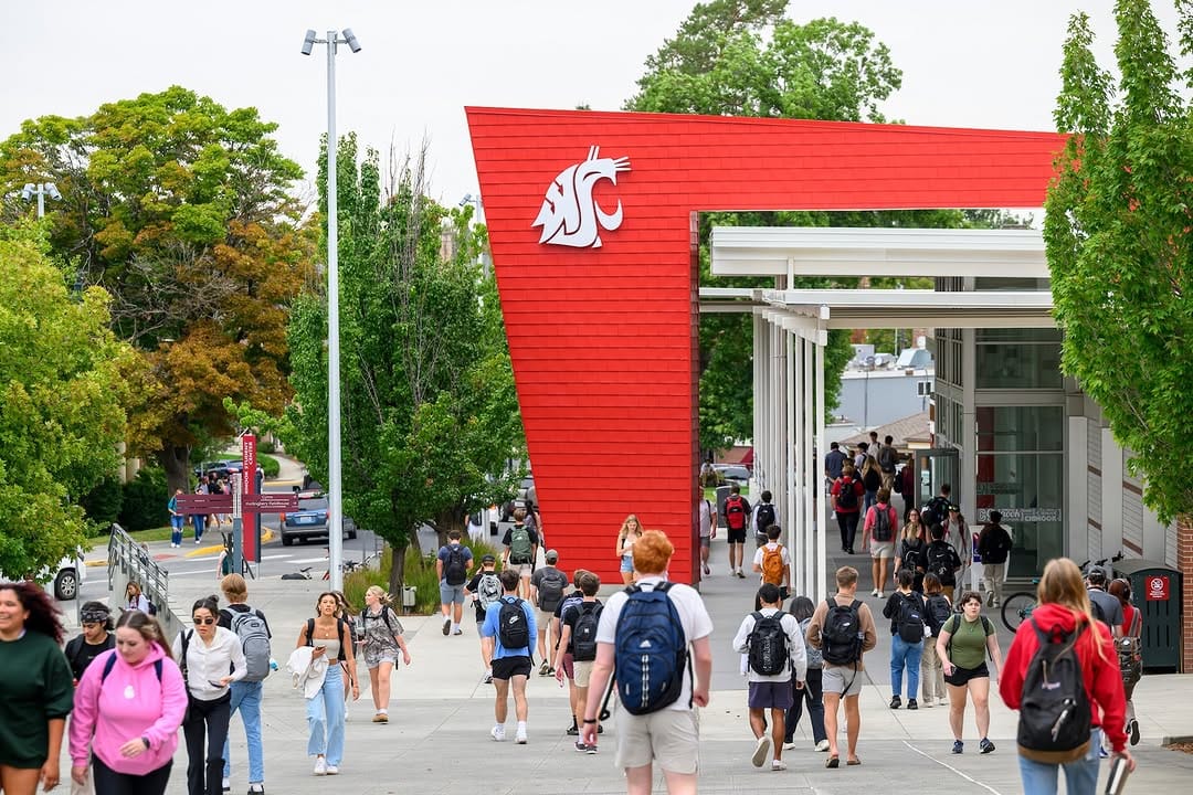 Post 3 by WSU Pullman on Instagram (image)