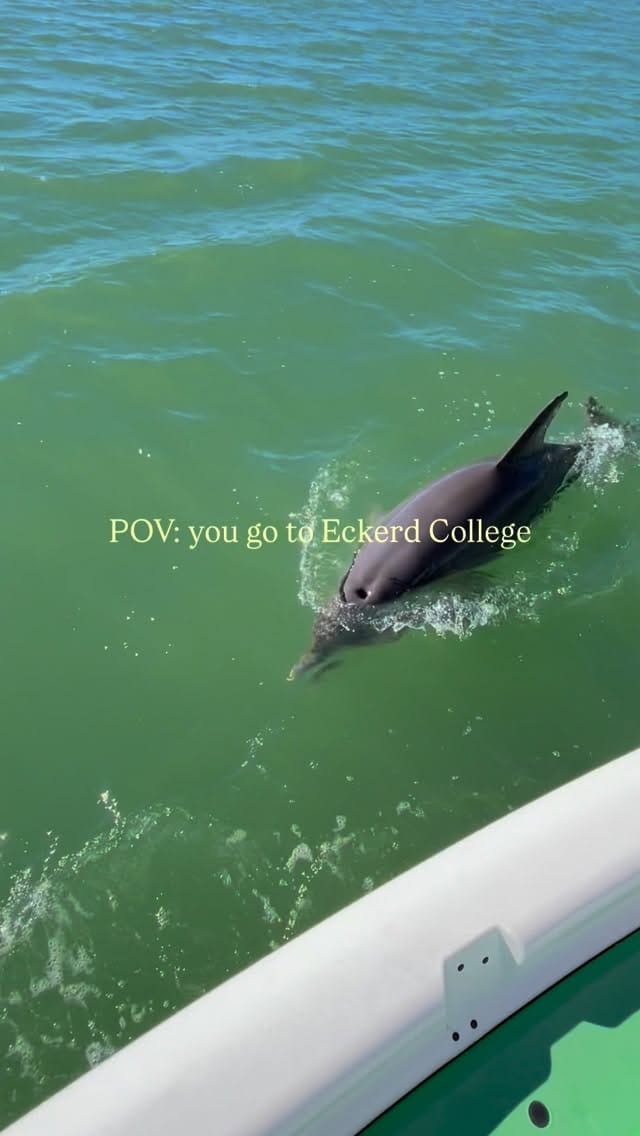Post 9 by Eckerd College on Instagram (video)
