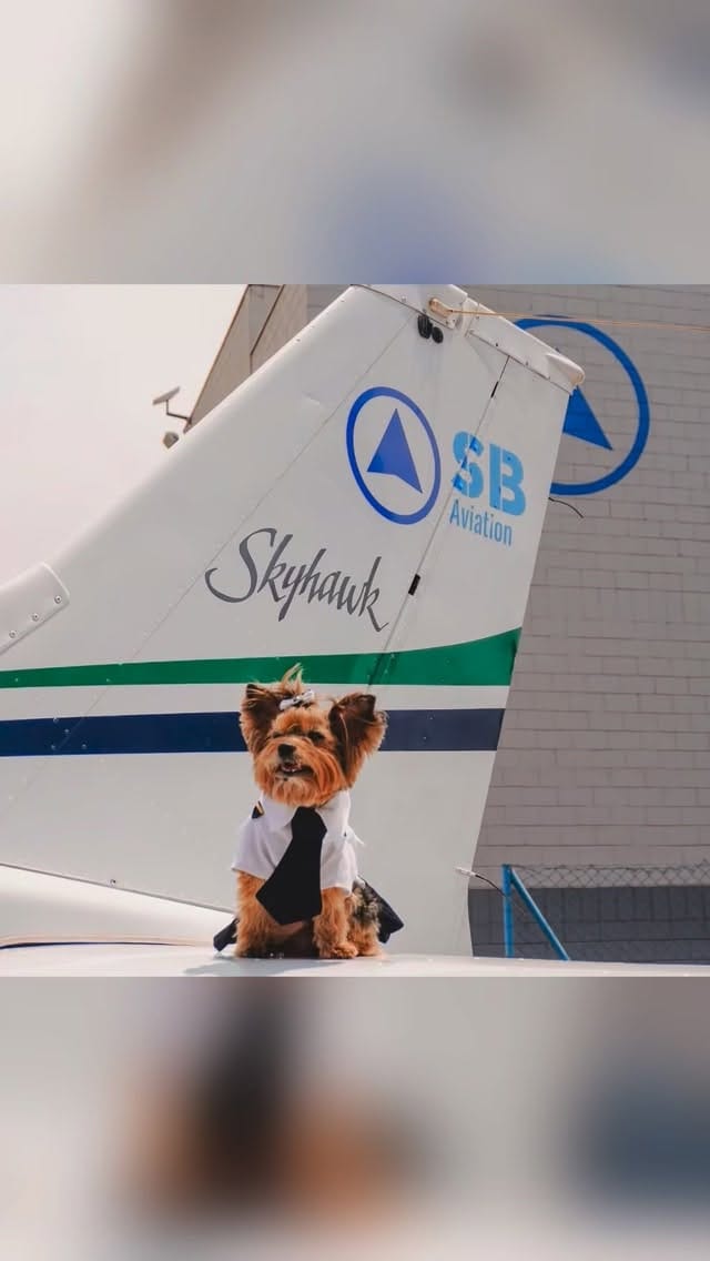 Post 1 by Sierra Bravo Escola de Aviação on Instagram (video)