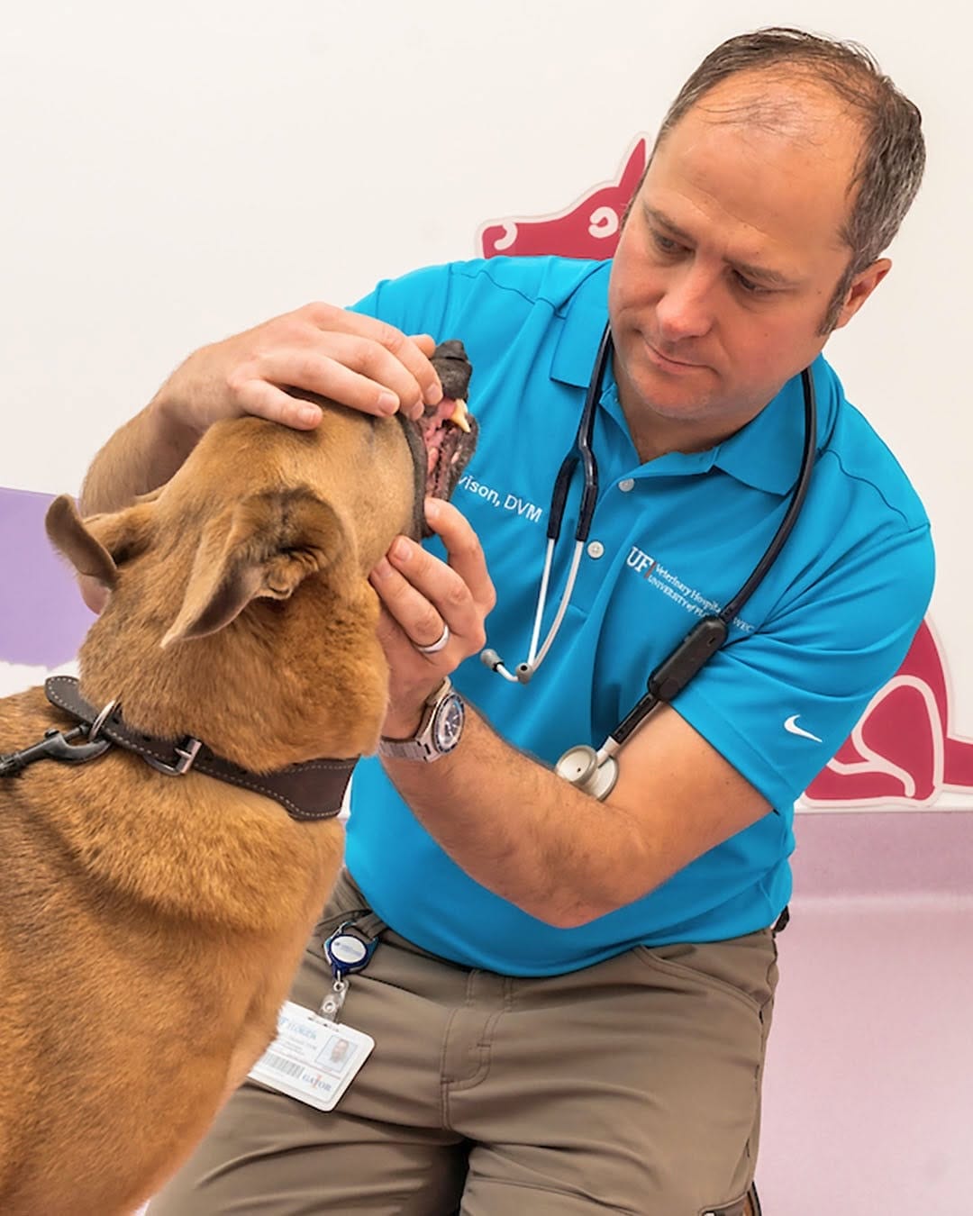 Post 1 by UF College of Veterinary Medicine on Instagram (carousel)