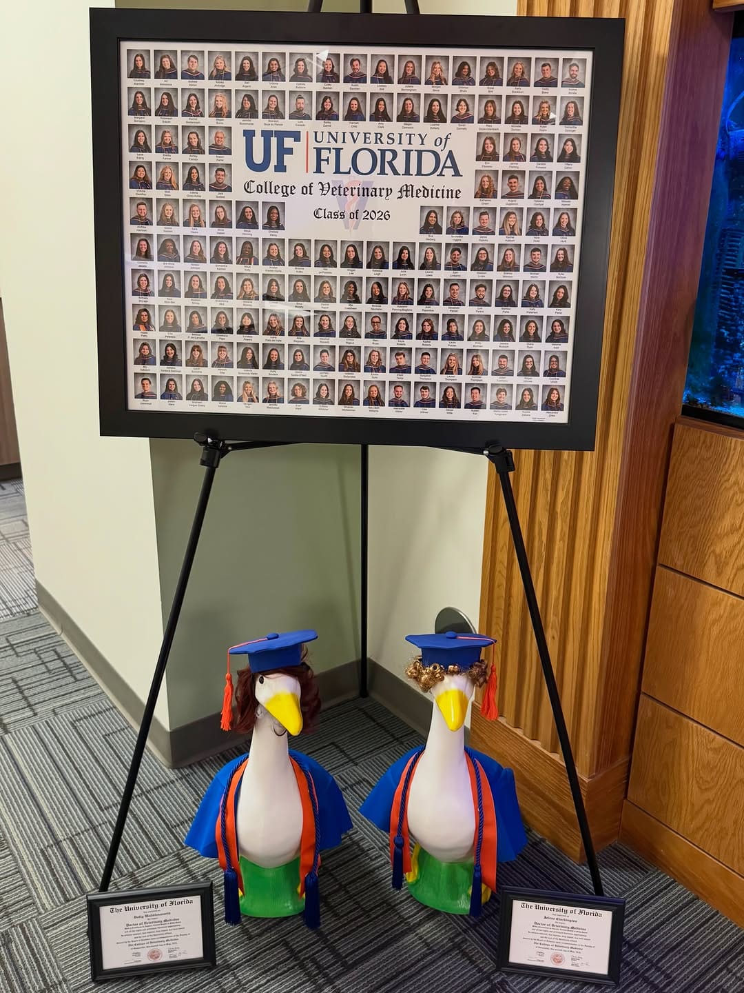 Post 5 by UF College of Veterinary Medicine on Instagram (carousel)