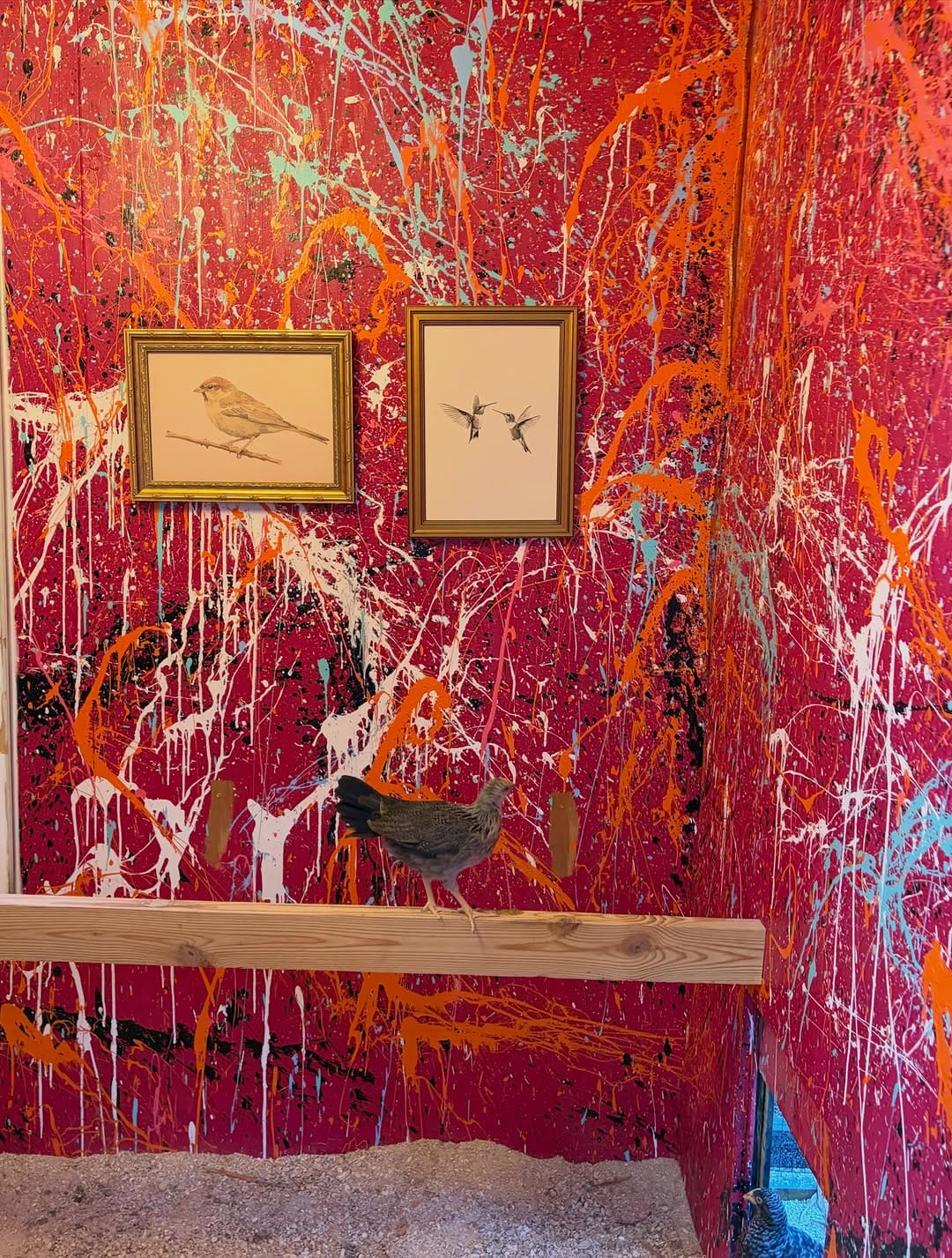 Post 3 by Elis Amaral | Contemporary Art on Instagram (image)