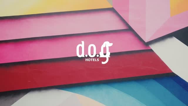 Post 10 by DOG Hotels Miami Shores on Instagram (video)