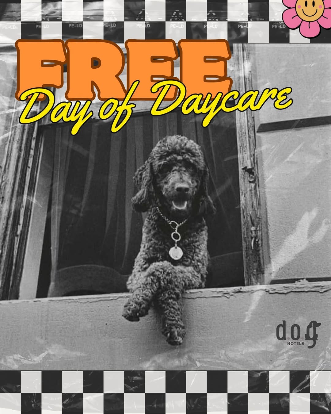 Post 8 by DOG Hotels Miami Shores on Instagram (image)
