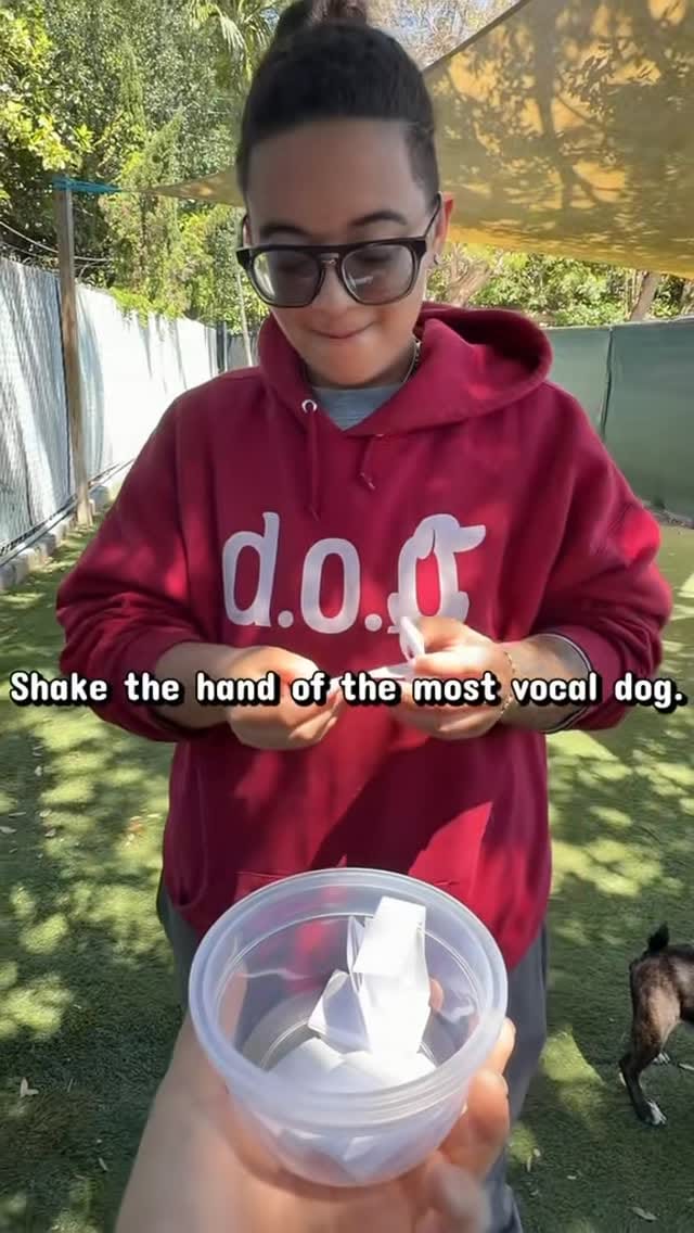 Post 7 by DOG Hotels Miami Shores on Instagram (video)