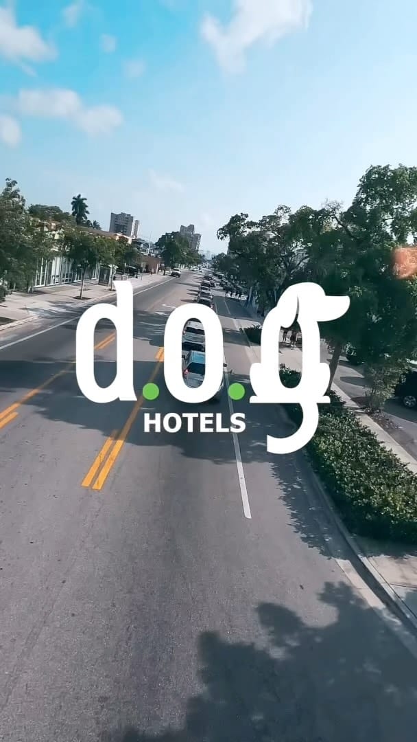 Post 9 by DOG Hotels Miami Shores on Instagram (video)