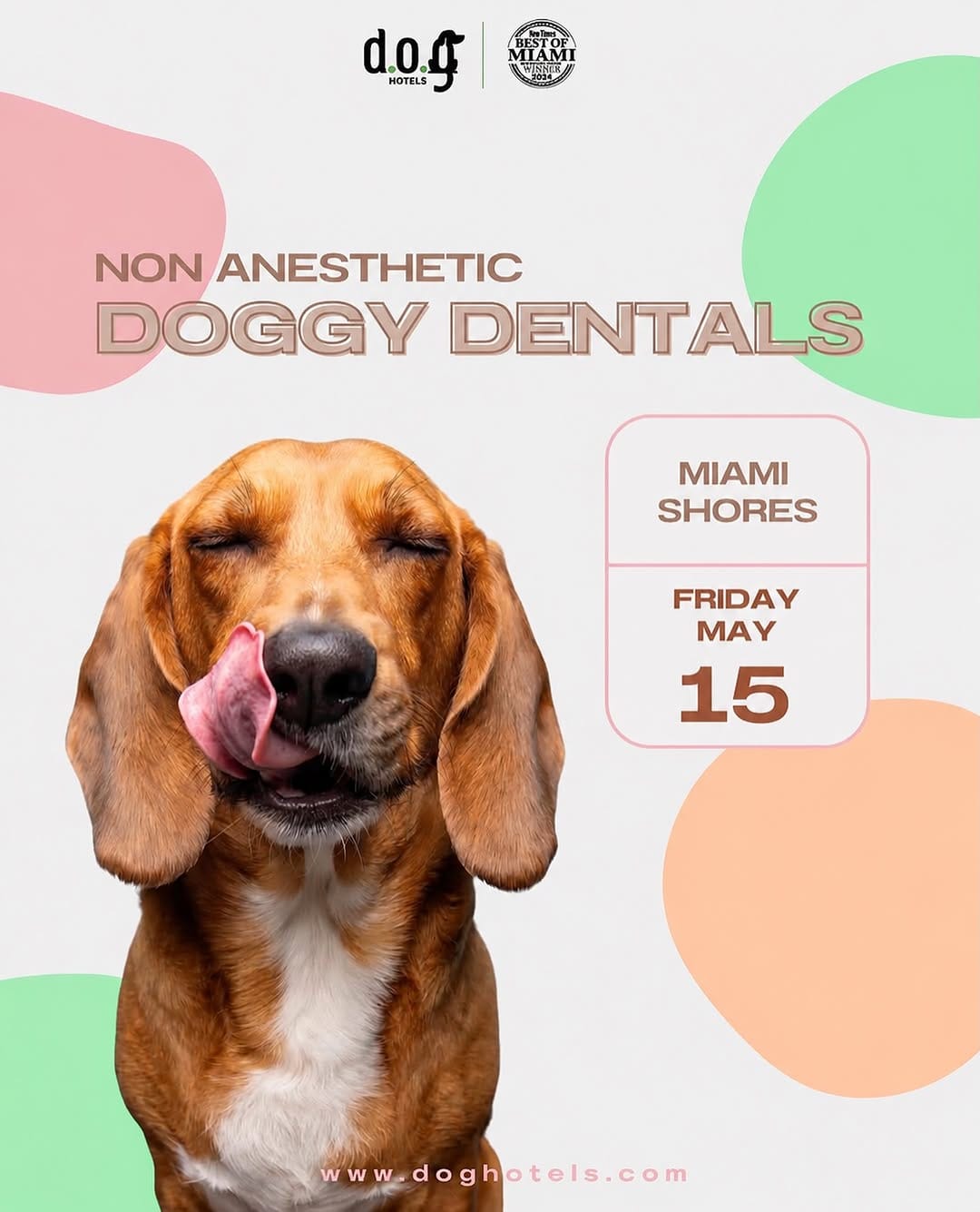 Post 4 by DOG Hotels Miami Shores on Instagram (image)