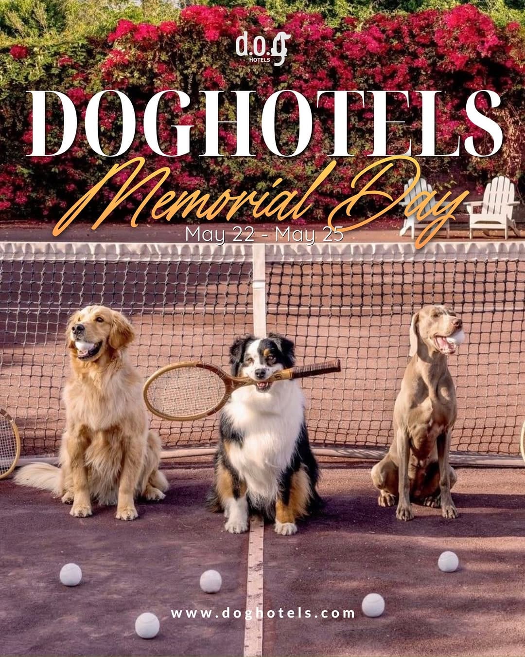 Post 1 by DOG Hotels Miami Shores on Instagram (image)