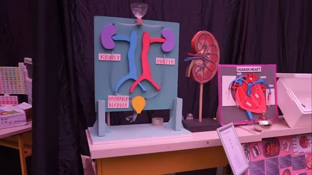 Post 7 by American Gulf Bilingual School on Instagram (video)