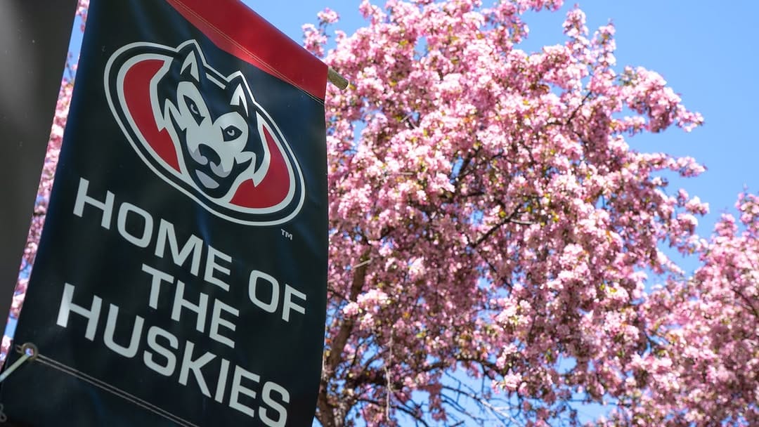 Post 3 by St. Cloud State on Instagram (carousel)
