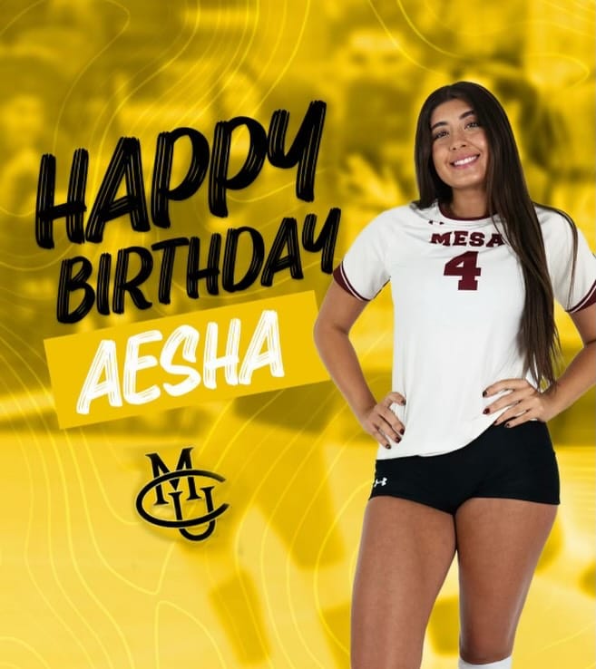 Post 7 by Colorado Mesa University Volleyball on Instagram (image)
