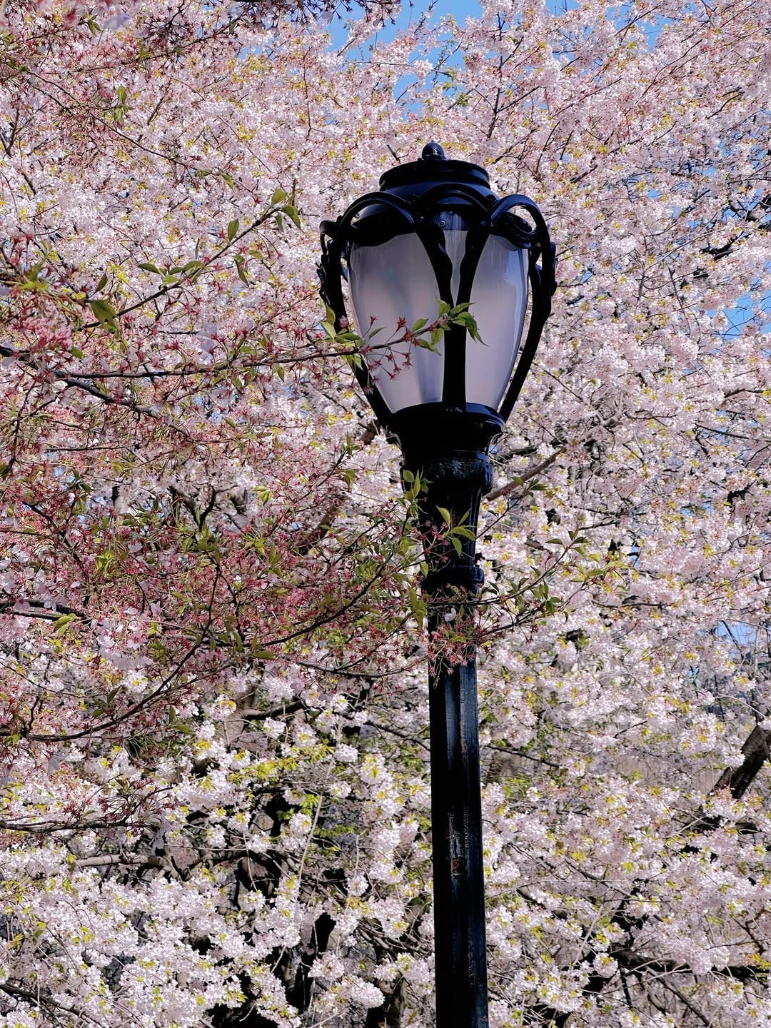 Post 2 by Victoria Saint-Denis | nyc content creator on Instagram (carousel)