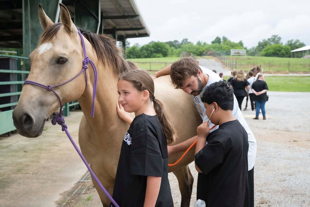 Post 4 by MSSTATE VETMED on Instagram (carousel)