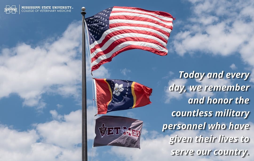 Post 5 by MSSTATE VETMED on Instagram (image)
