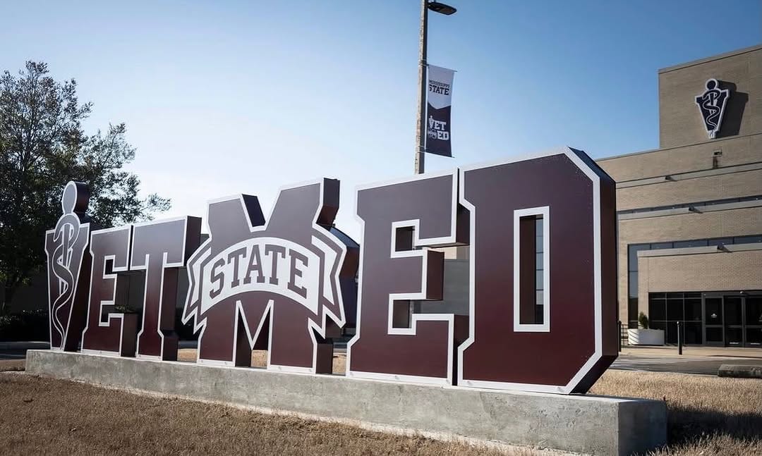 Post 8 by MSSTATE VETMED on Instagram (image)