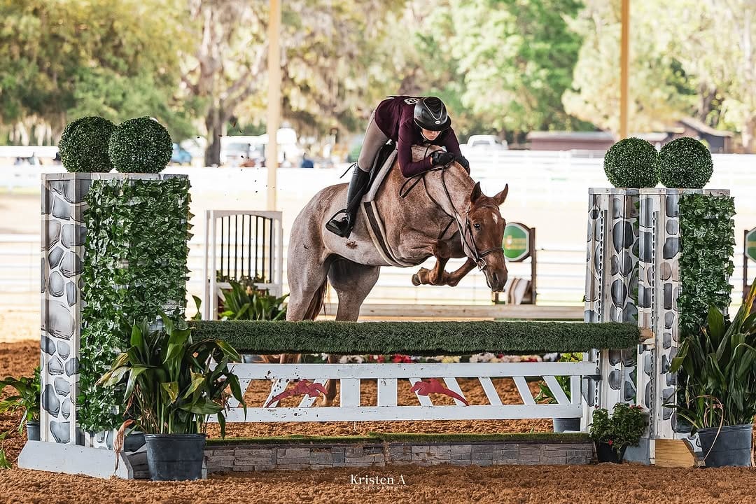 Post 10 by Victoria Raleigh on Instagram (carousel)