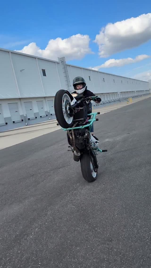 Post 1 by 𝒯𝒶𝓂𝓅𝒶 𝒮𝓉𝓊𝓃𝓉 𝒬𝓊𝑒𝑒𝓃𝓈 on Instagram (video)