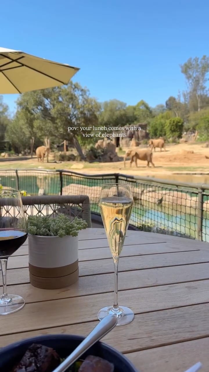 Post 2 by Liz on Instagram (video)