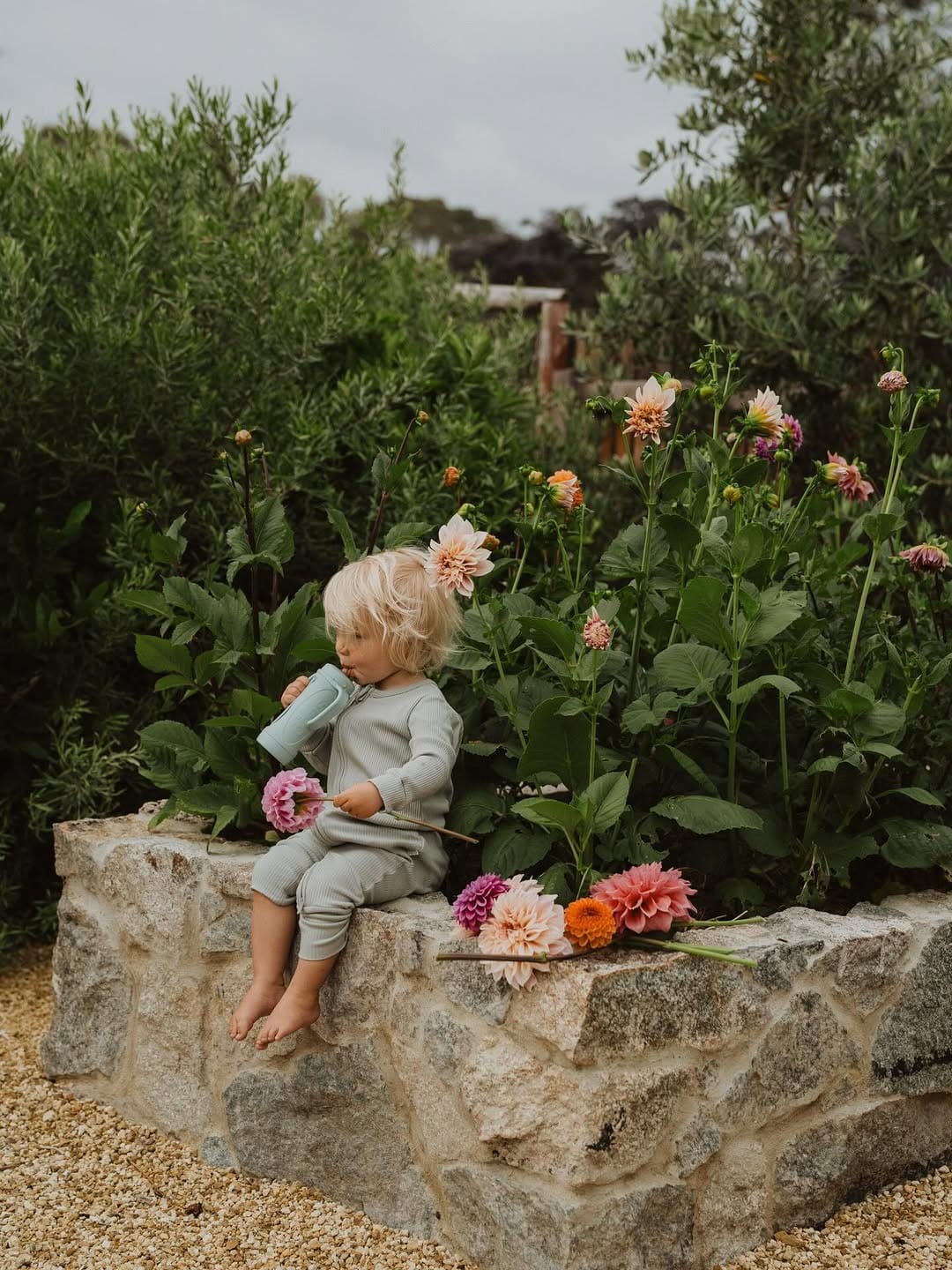 Post 2 by P A R I S H A W K E N on Instagram (image)