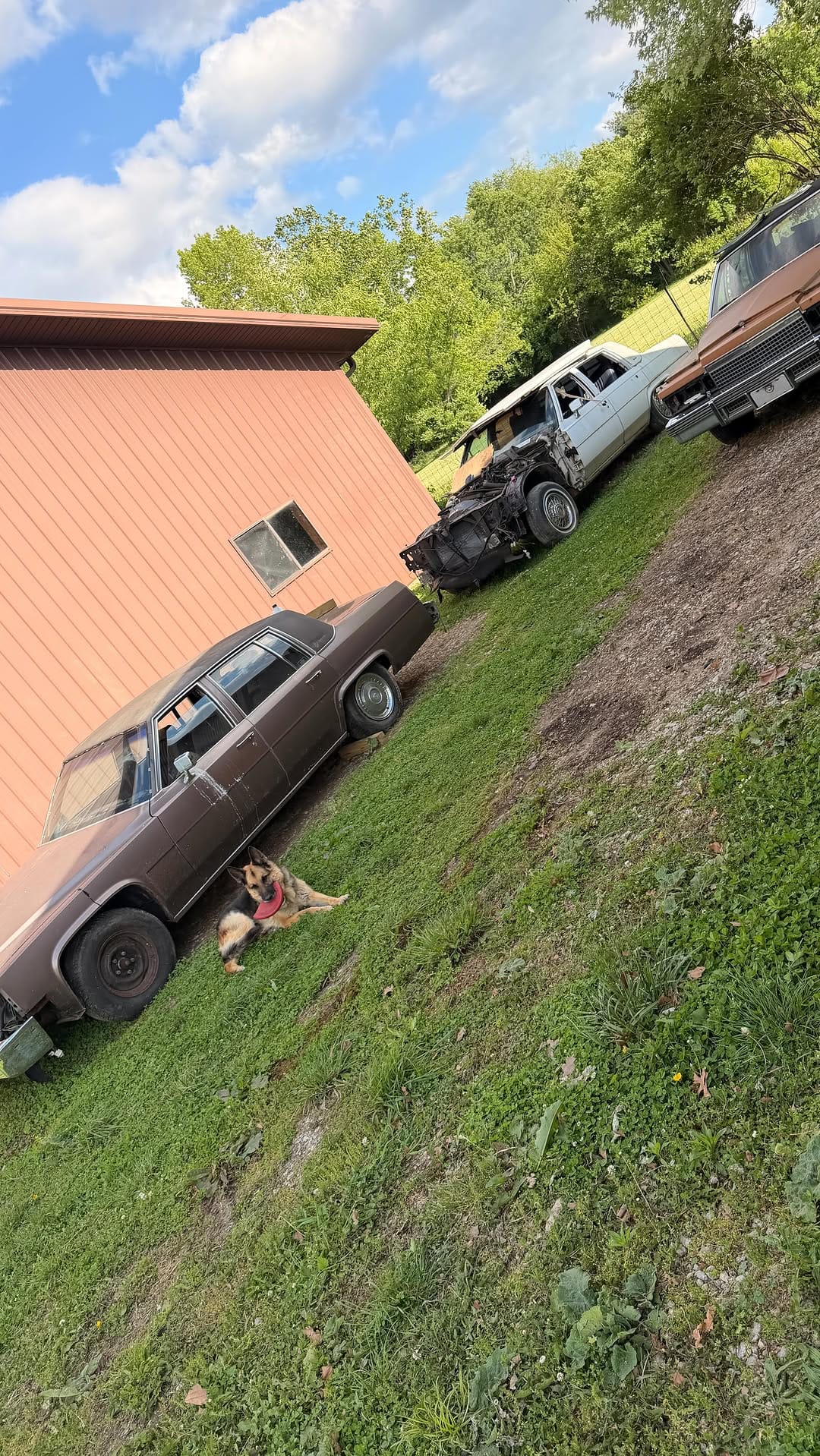 Post 5 by Caddy Chris on Instagram (video)