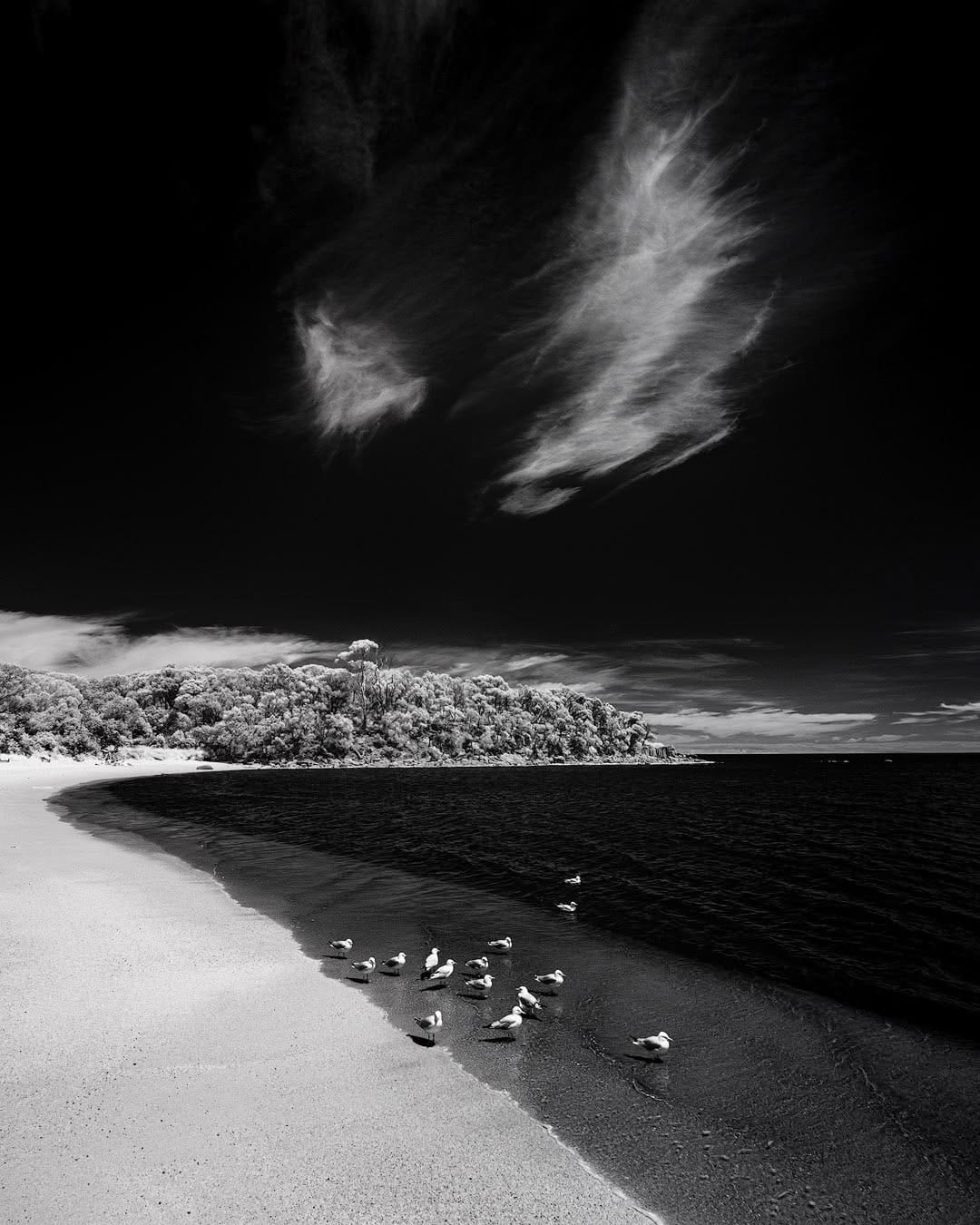 Post 9 by Beauty of Tasmania on Instagram (image)