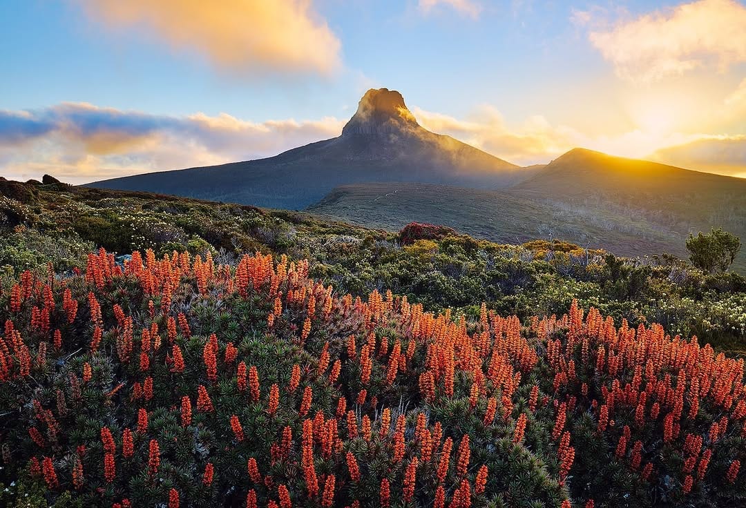 Post 10 by Beauty of Tasmania on Instagram (image)
