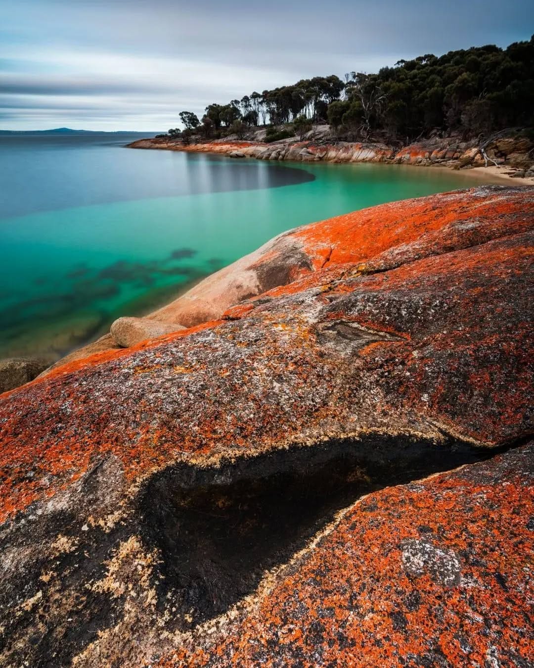 Post 8 by Beauty of Tasmania on Instagram (image)