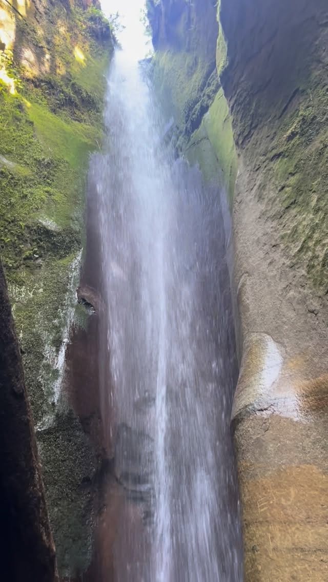 Post 9 by 𝑪𝒂𝒓𝒓𝒊𝒆 🐚 Victoria BC ~ UGC creator on Instagram (video)