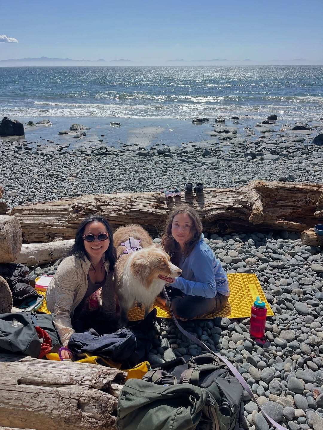 Post 5 by 𝑪𝒂𝒓𝒓𝒊𝒆 🐚 Victoria BC ~ UGC creator on Instagram (carousel)