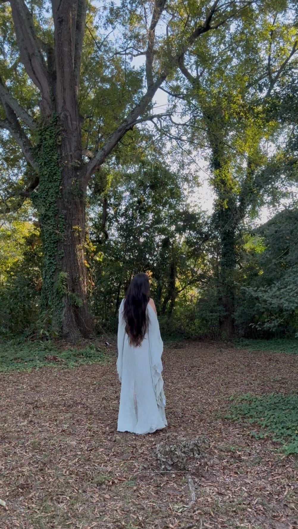 Post 8 by Nia | herbalism • fertility • motherhood on Instagram (video)