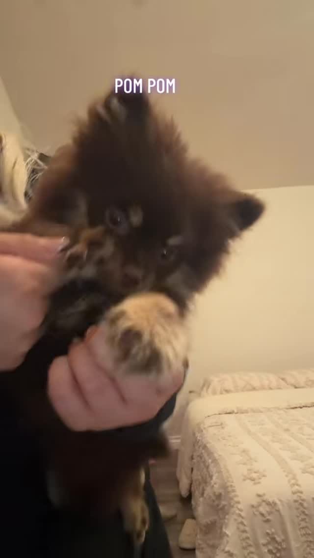 Post 7 by VICTORIA 🧚‍♀️💖 on Instagram (video)