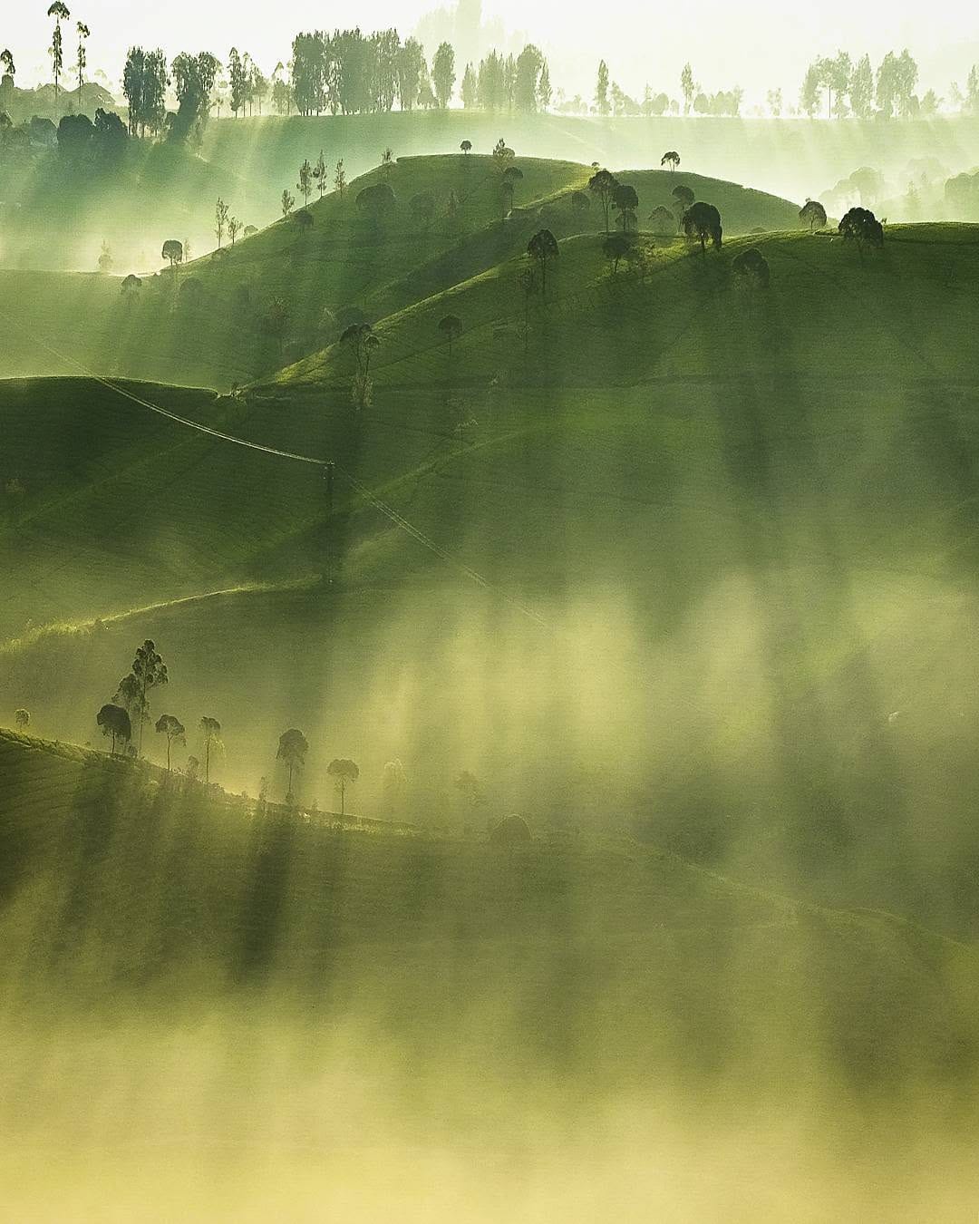 Post 10 by Arif Ikhwani on Instagram (image)
