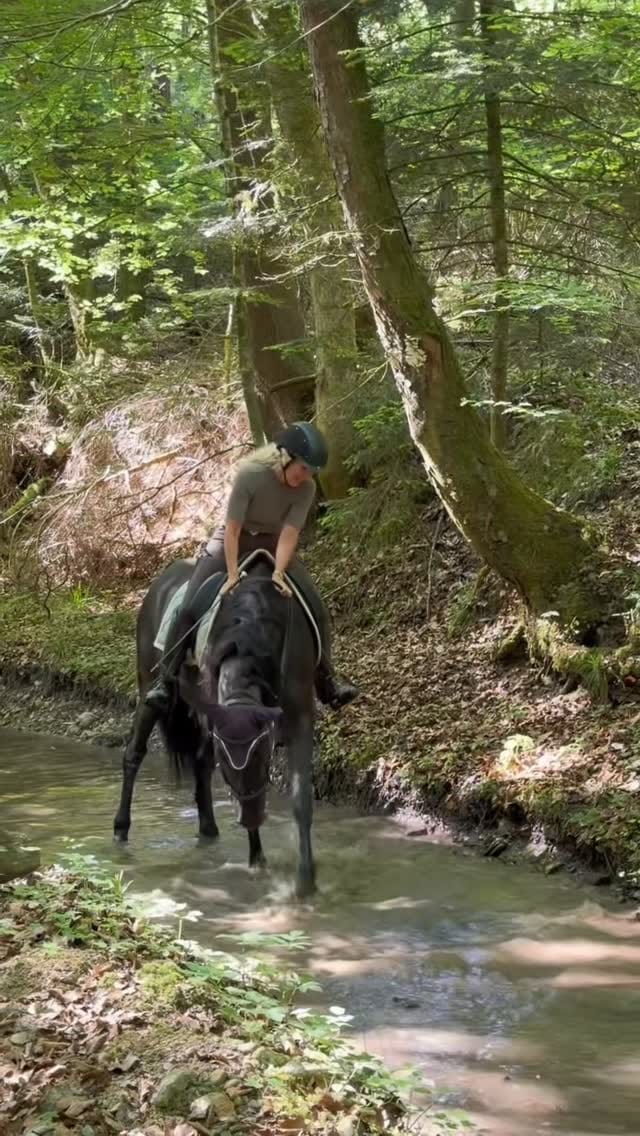 Post 1 by Birgit Jell on Instagram (video)