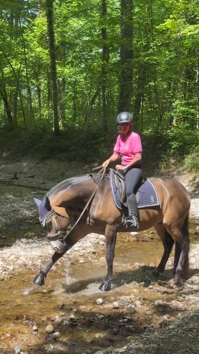 Post 4 by Birgit Jell on Instagram (video)