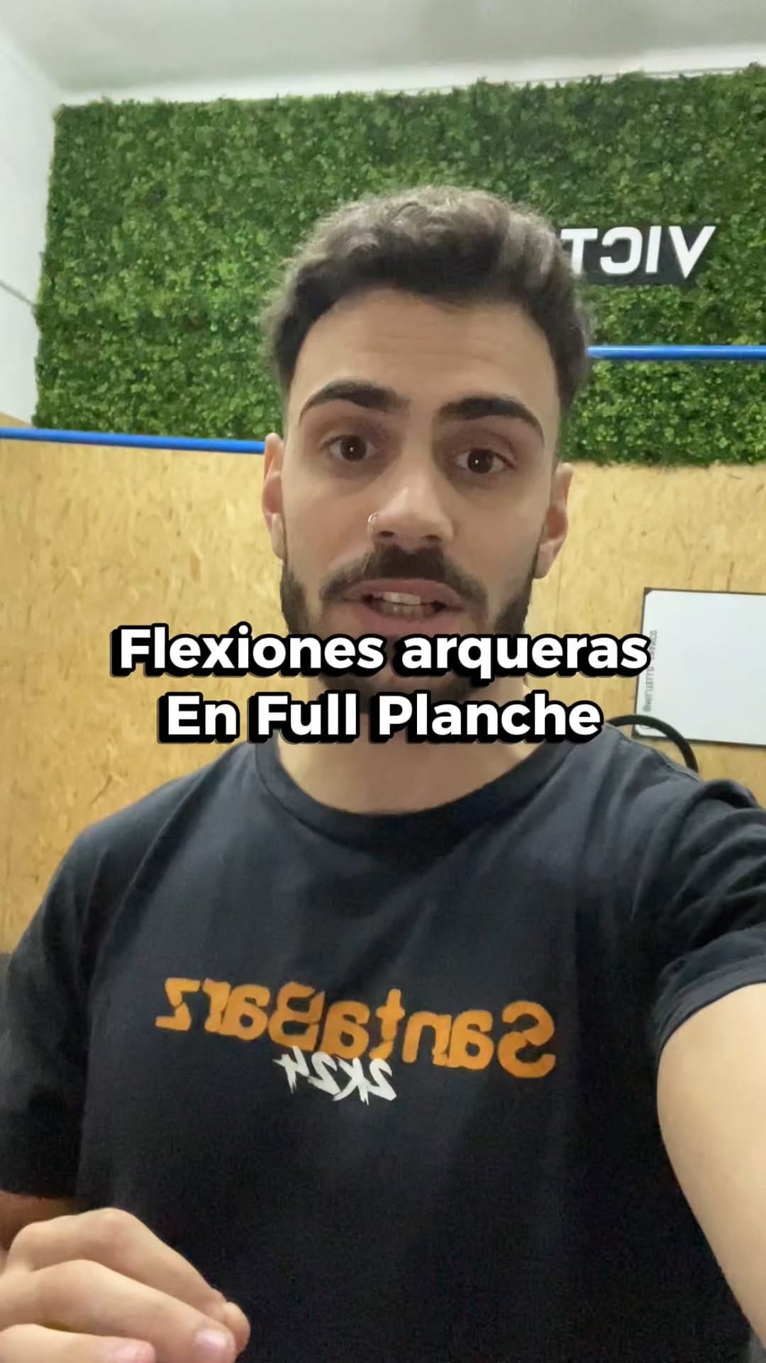 Post 6 by Fran Militello | FM Calistenia on Instagram (video)