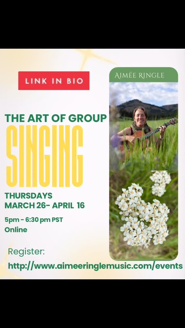 Post 4 by Aimee Ringle on Instagram (video)