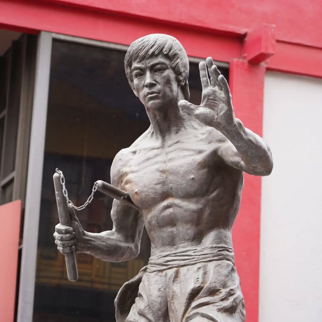 Post 9 by Integrative Wing Chun Phoenix on Instagram (carousel)