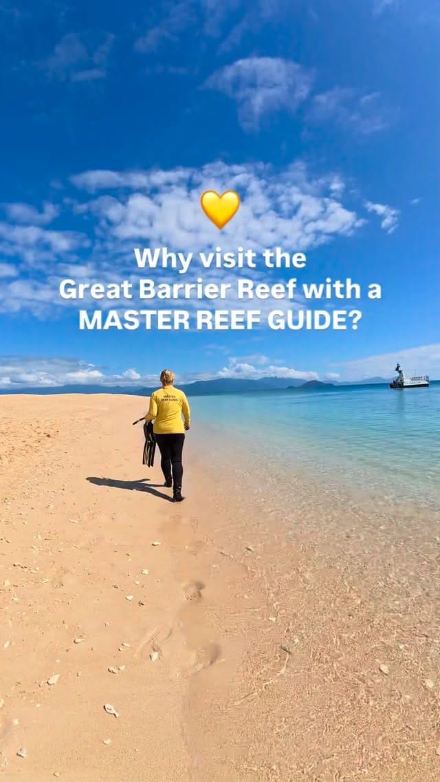 Post 1 by Master Reef Guides on Instagram (video)