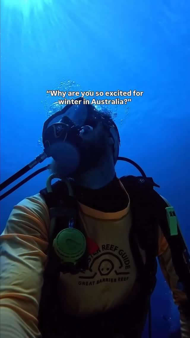 Post 10 by Master Reef Guides on Instagram (video)