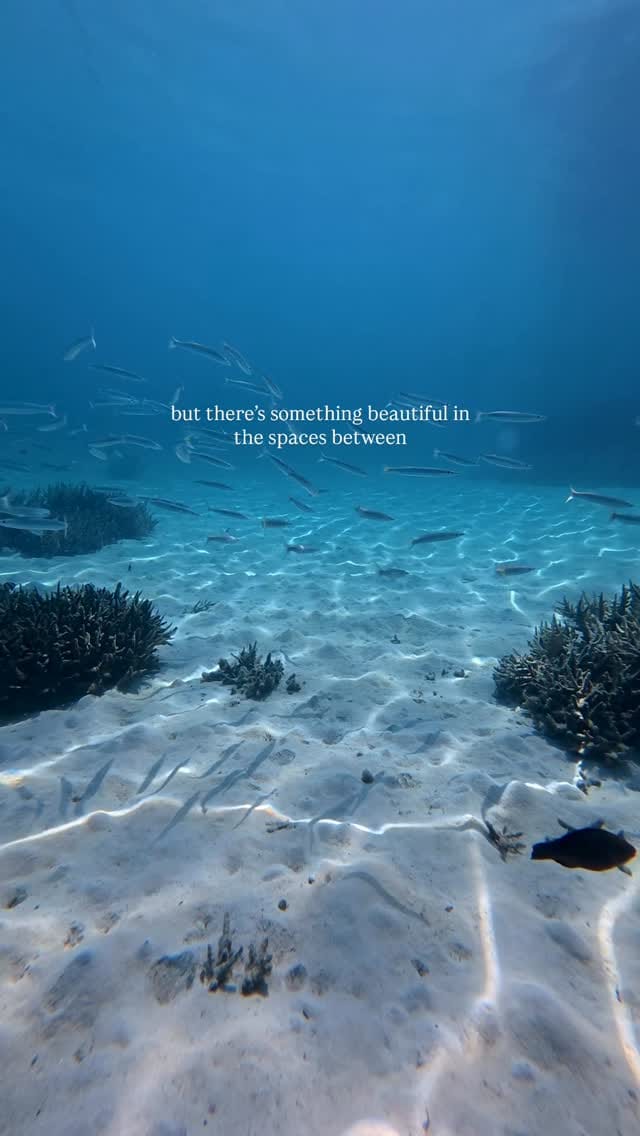Post 5 by Master Reef Guides on Instagram (video)