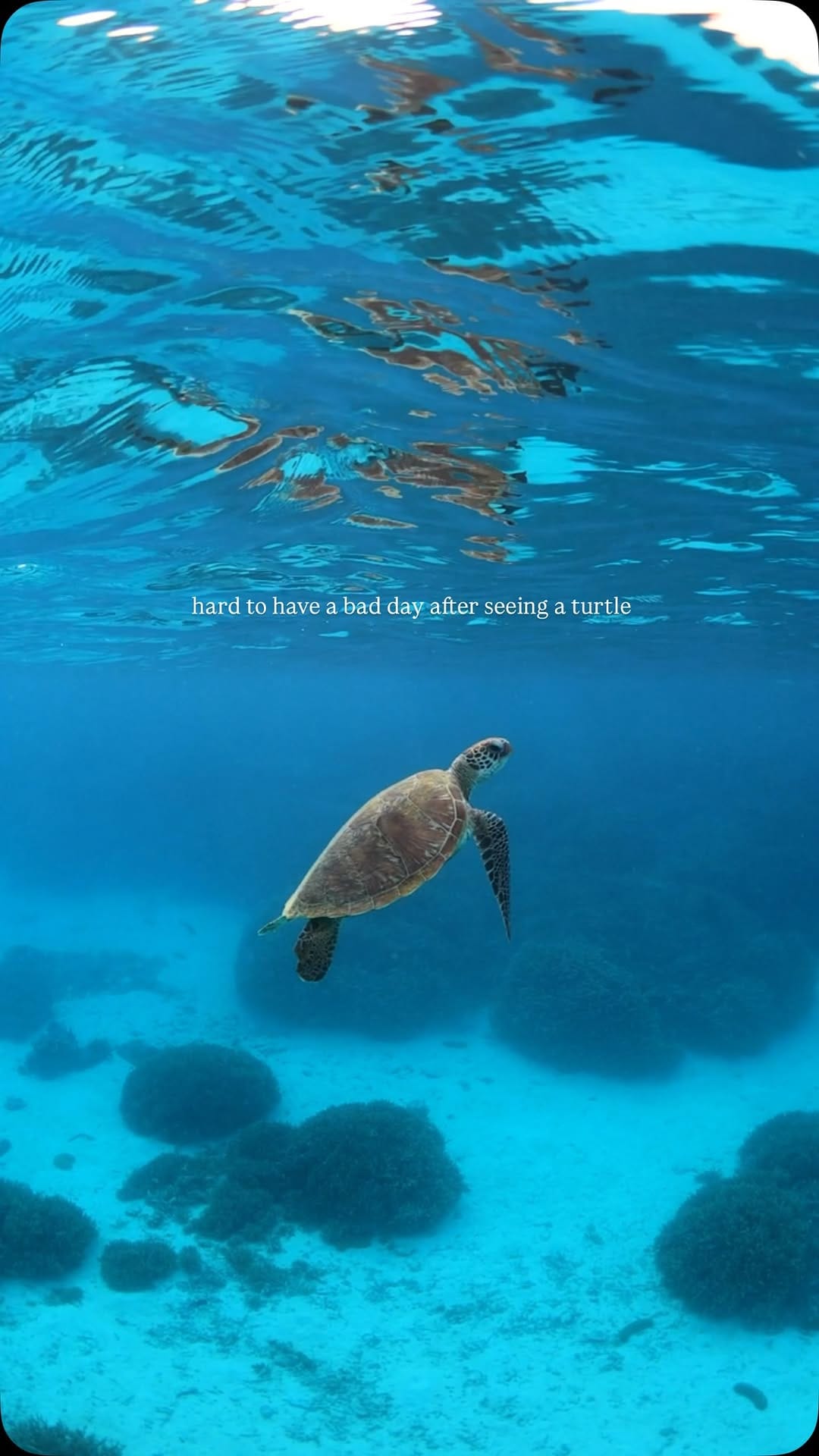 Post 3 by Master Reef Guides on Instagram (video)