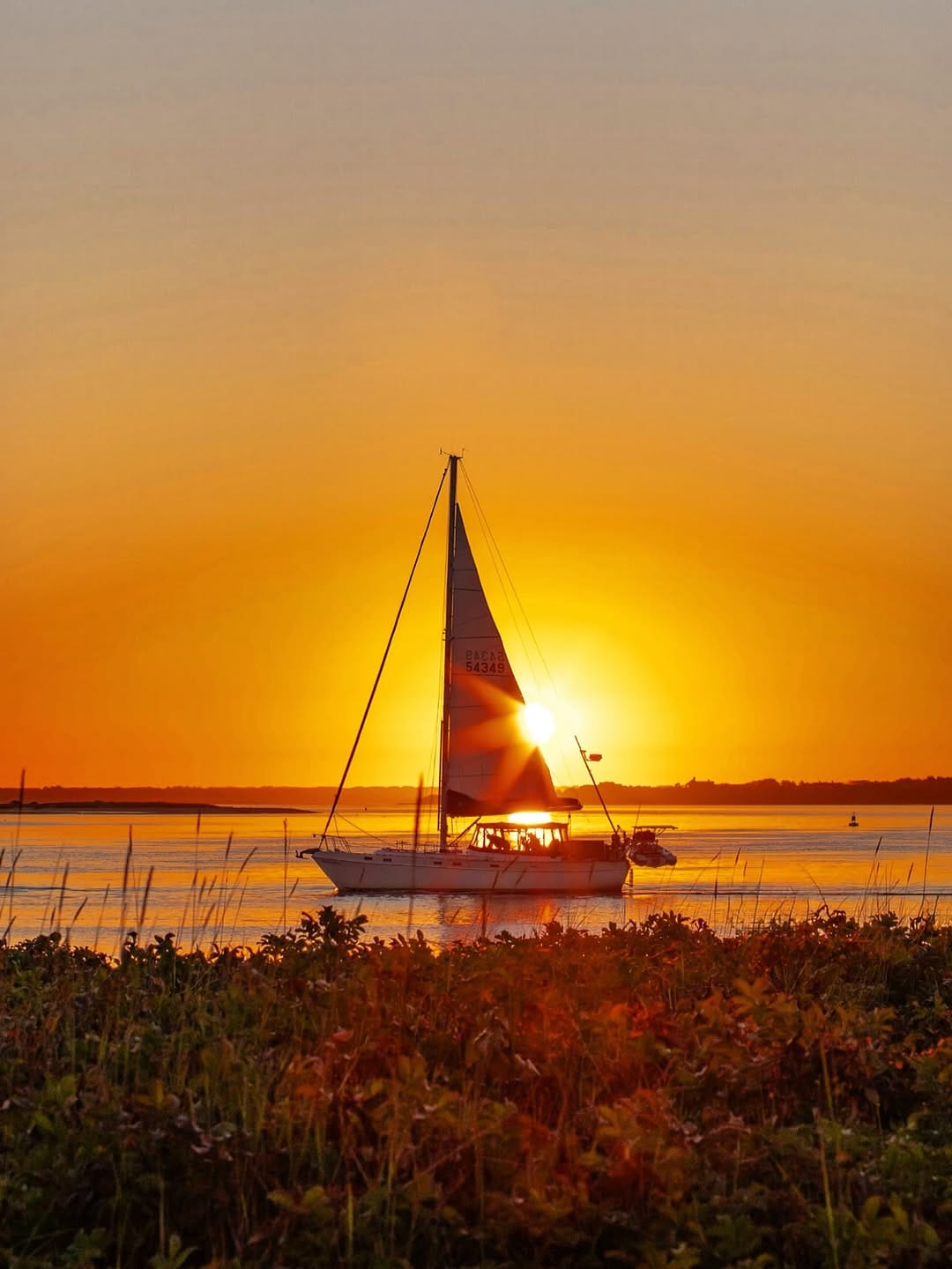 Post 6 by Eat Nantucket on Instagram (image)