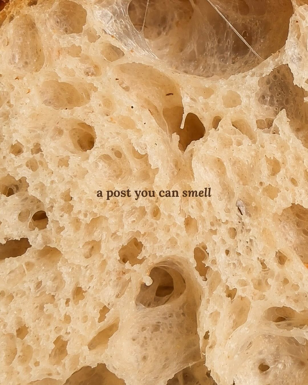 Post 9 by Butter & Crust on Instagram (carousel)