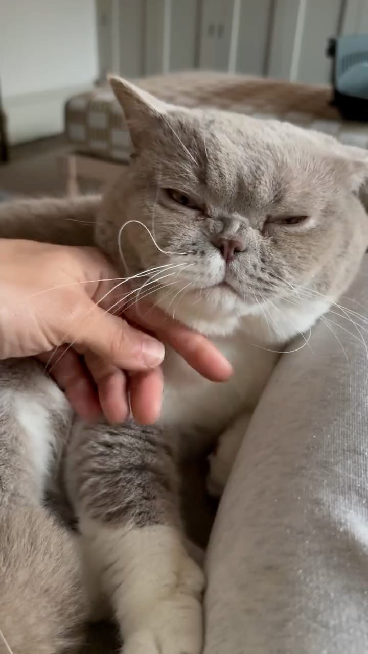 Post 7 by Chloe Michalska on Instagram (video)